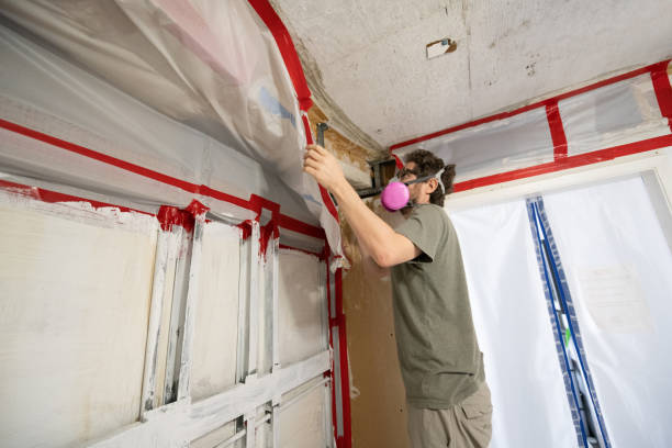 Trusted Virginia, MN Mold Inspection, Removal & Remediation Experts